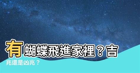 蝴蝶飛進家裡幾號|今日蝴蝶入宅，風水大師解析吉凶